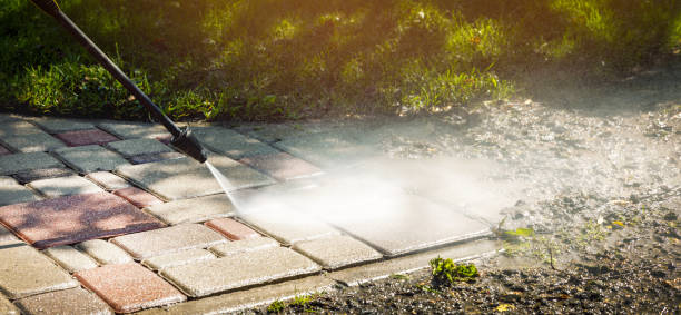 Best Roof Cleaning and Mildew Removal in Petal, MS